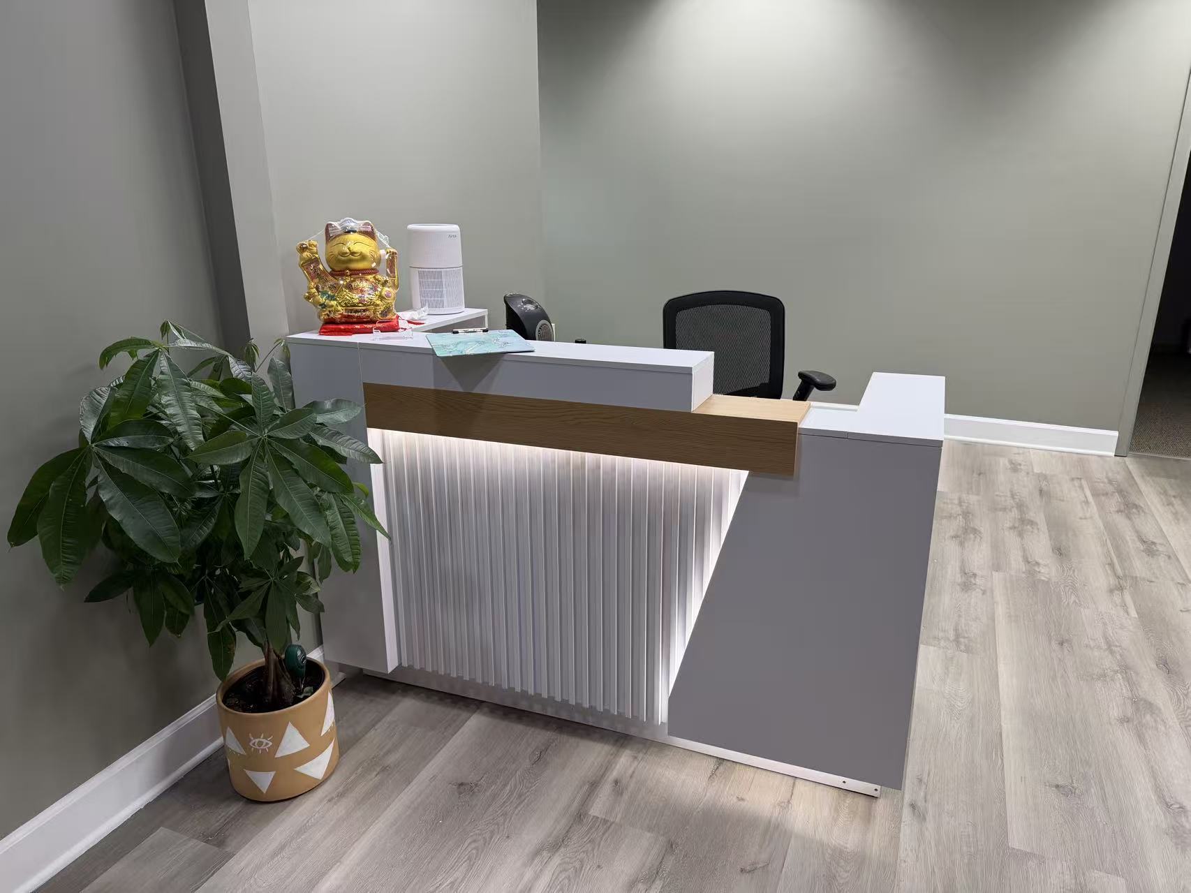 Illuminated reception desk and plant inside the clinic
